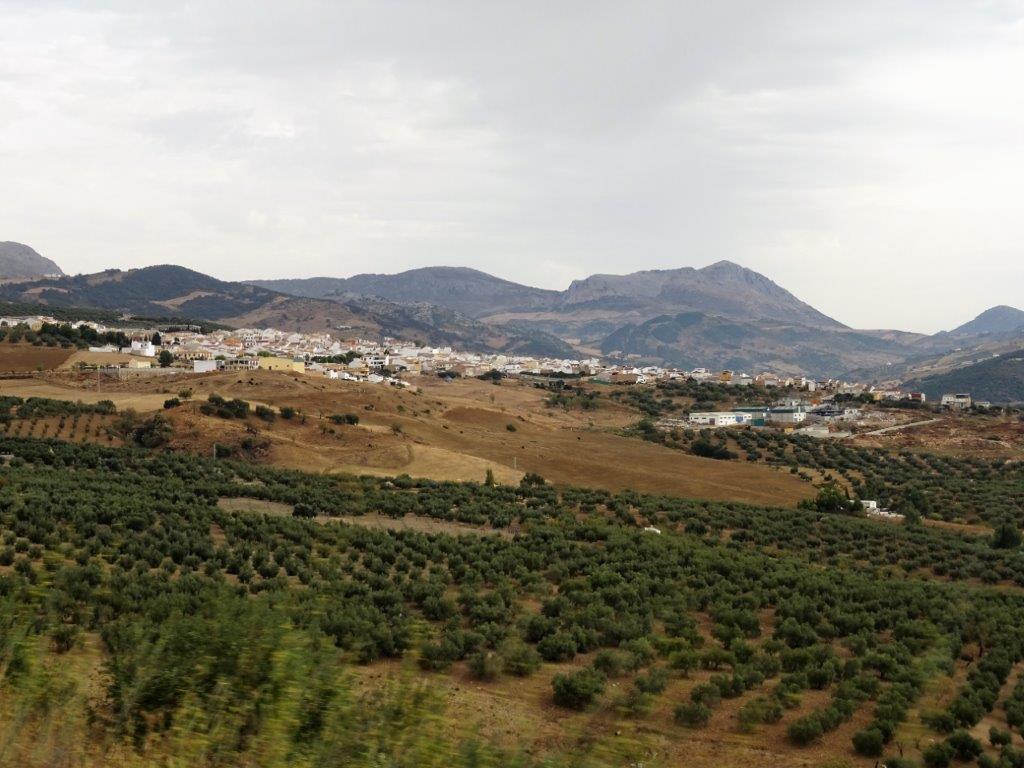 DSC01256