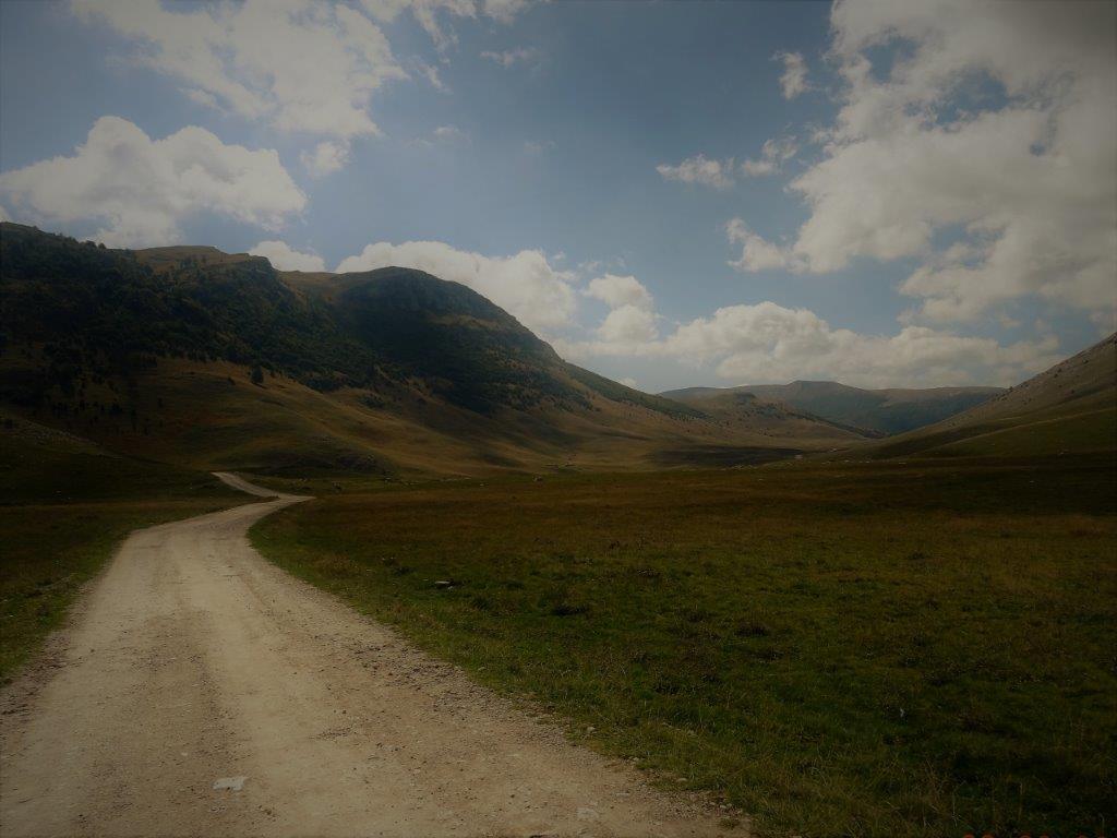 DSC04501