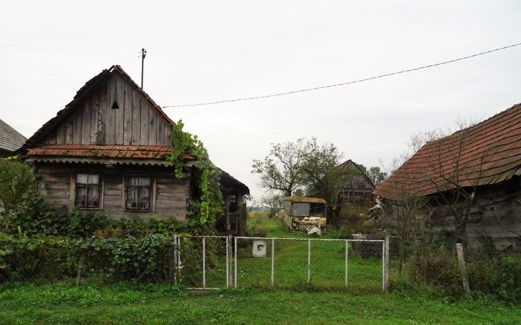 DSC05185