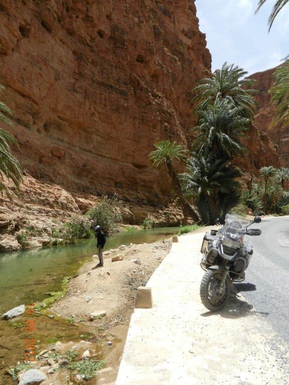 MAROC